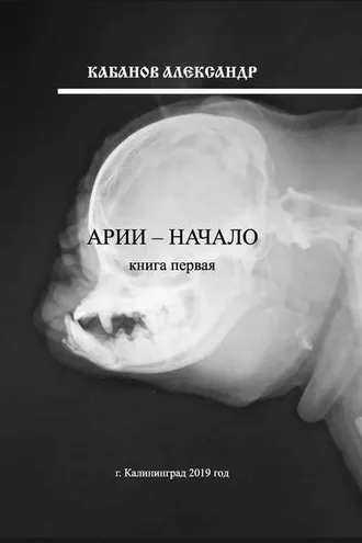 Обложка книги «Арии – начало. Книга 1»