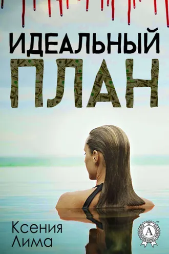 Обложка книги «Идеальный план»
