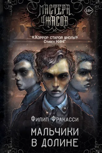 Обложка книги «Мальчики в долине»