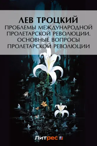 Обложка книги «Проблемы международной пролетарской революции. Основные вопросы пролетарской революции»