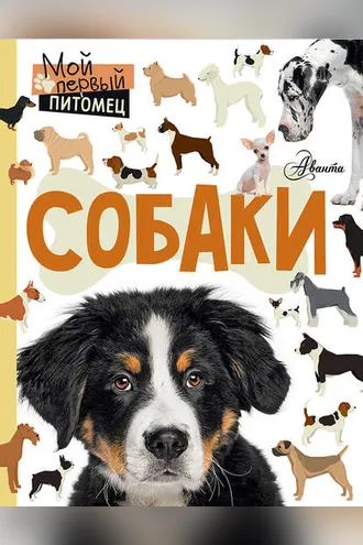 Обложка книги «Собаки»