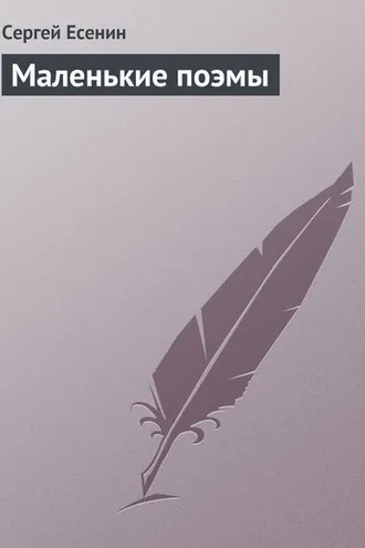 Обложка книги «Маленькие поэмы»
