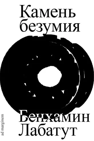 Обложка книги «Камень безумия»