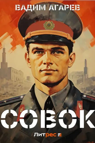 Обложка книги «Совок»