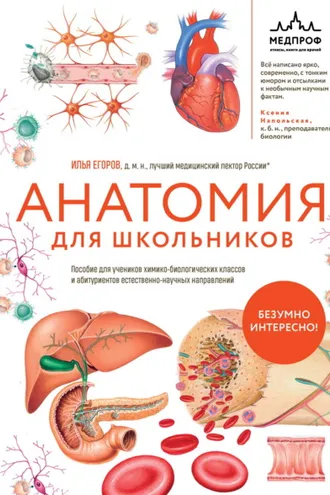 Обложка книги «Анатомия для школьников. Пособие для учеников химико-биологических классов и абитуриентов естественно-научных направлений»