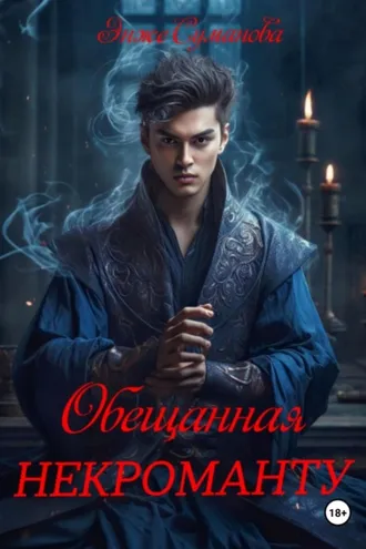 Обложка книги «Обещанная некроманту»