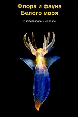 Обложка книги «Флора и фауна Белого моря»