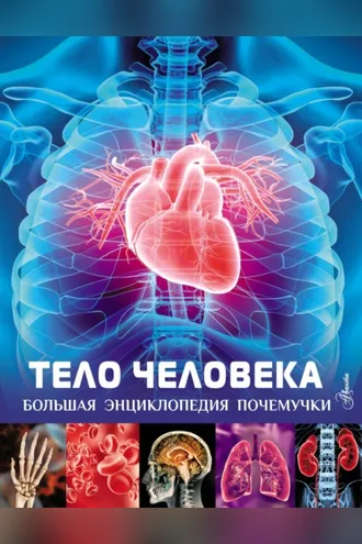 Обложка книги «Тело человека»