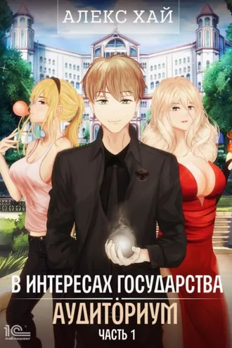 Обложка книги «В интересах государства. Аудиториум. Часть 1»