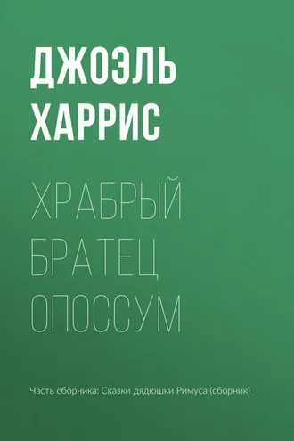 Обложка книги «Храбрый Братец Опоссум»