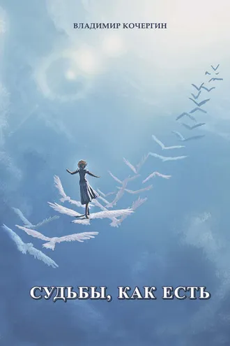 Обложка книги «Судьбы, как есть»