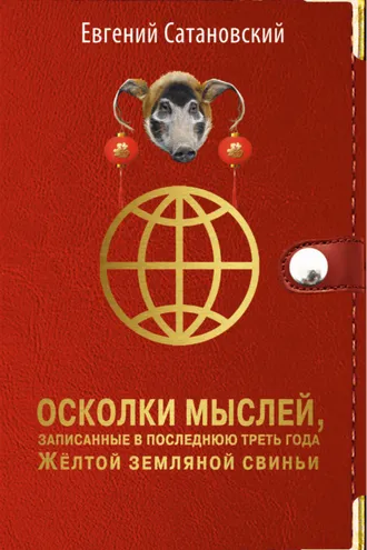 Обложка книги «Осколки мыслей, записанные в последнюю треть года Жёлтой Земляной Свиньи»