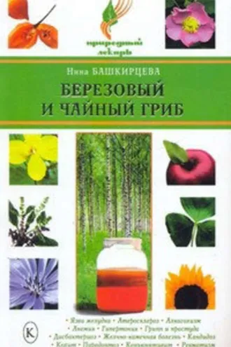 Обложка книги «Березовый и чайный гриб»