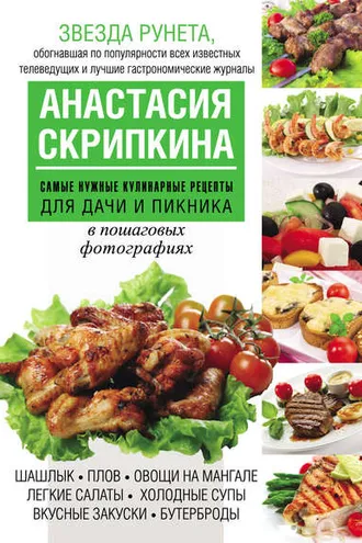Обложка книги «Самые нужные кулинарные рецепты для дачи и пикника»