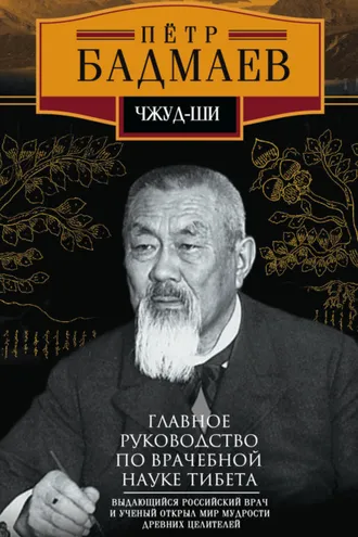 Обложка книги «Чжуд-ши. Главное руководство по врачебной науке Тибета»