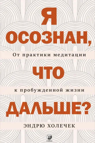 Обложка книги «Я осознан, что дальше? От практики медитации к пробужденной жизни»