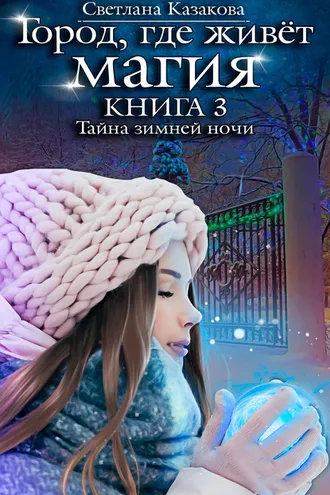 Обложка книги «Тайна зимней ночи»