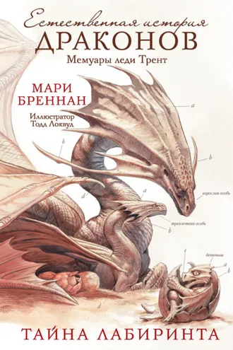 Обложка книги «Мемуары леди Трент: Тайна Лабиринта»