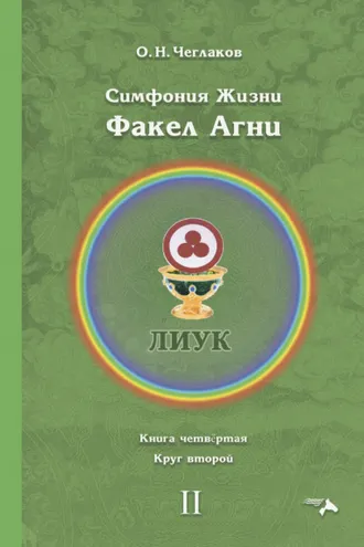 Обложка книги «Симфония жизни. Факел Агни. Книга четвертая. Круг второй»