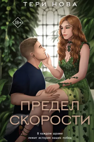 Обложка книги «Предел скорости»