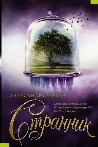 Обложка книги «Странник»