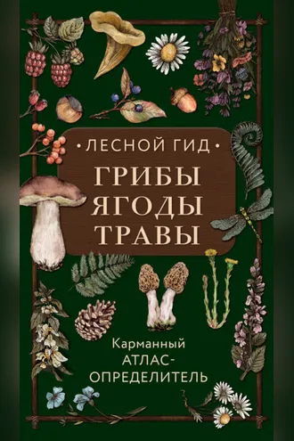 Обложка книги «Лесной гид: грибы, ягоды, травы. Карманный атлас-определитель»