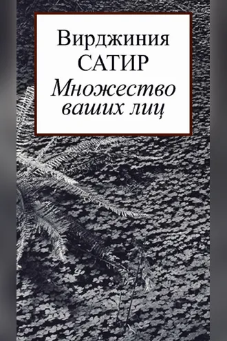 Обложка книги «Множество ваших лиц»