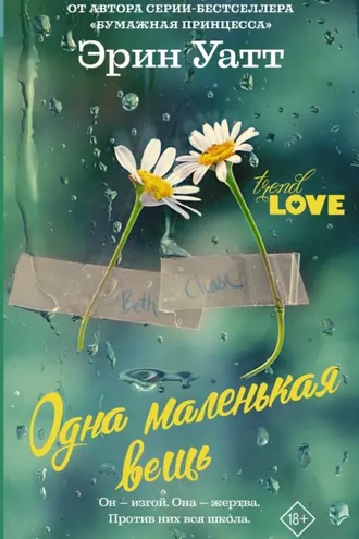 Обложка книги «Одна маленькая вещь»