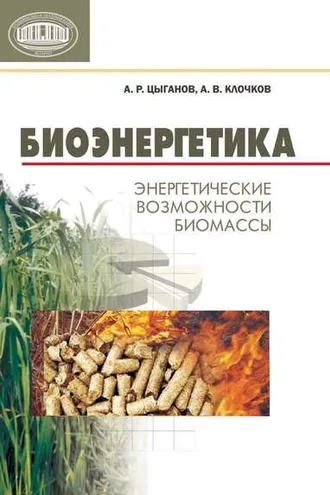 Обложка книги «Биоэнергетика. Энергетические возможности биомассы»