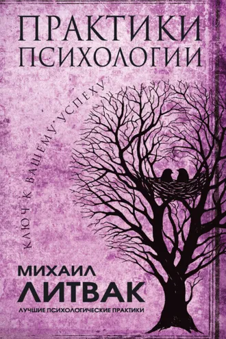 Обложка книги «Практики психологии. Ключ к вашему успеху»