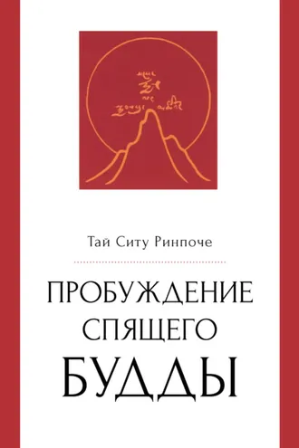 Обложка книги «Пробуждение спящего будды»