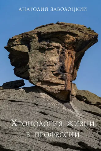 Обложка книги «Хронология жизни в профессии»