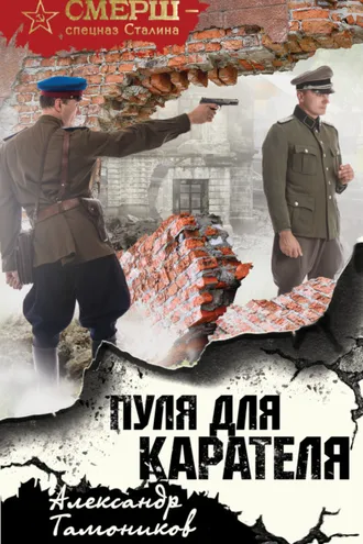 Обложка книги «Пуля для карателя»