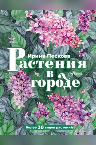 Обложка книги «Растения в городе»