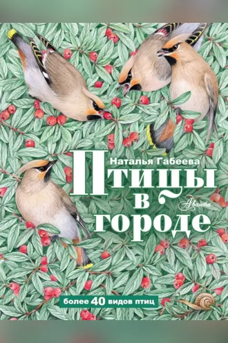Обложка книги «Птицы в городе»