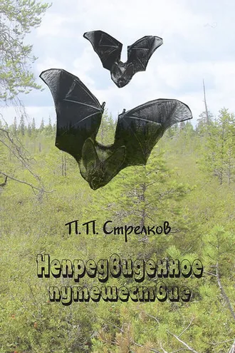 Обложка книги «Непредвиденное путешествие»