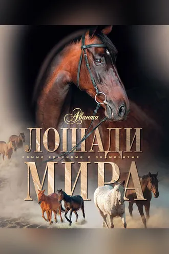 Обложка книги «Лошади мира»