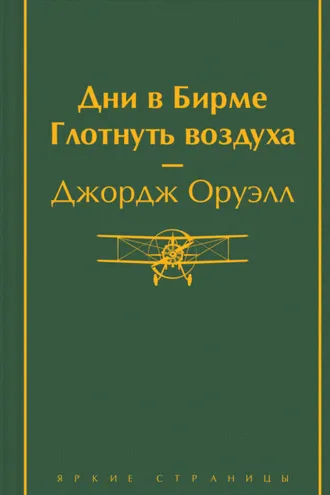 Обложка книги «Дни в Бирме. Глотнуть воздуха»
