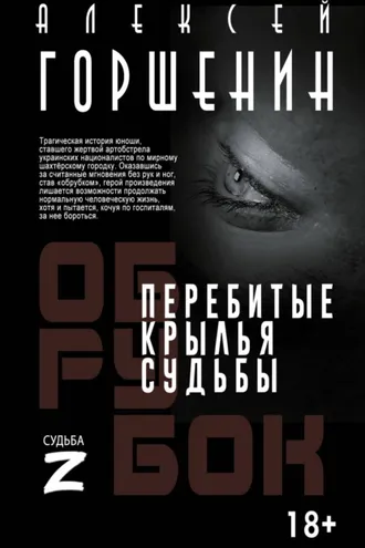 Обложка книги «Перебитые крылья судьбы»