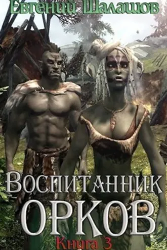 Обложка книги «Воспитанник орков. Книга третья»