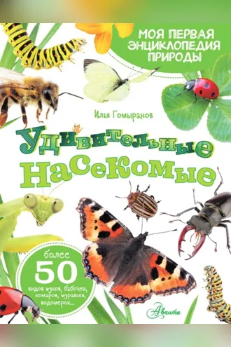 Обложка книги «Удивительные насекомые»