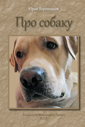 Обложка книги «Про собаку»