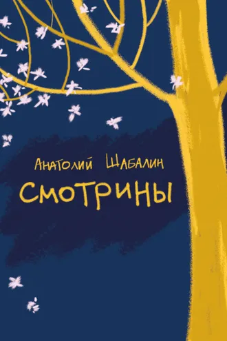 Обложка книги «Смотрины»