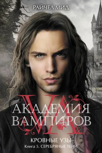 Обложка книги «Серебряные тени»