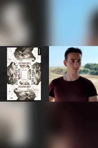 Обложка книги «Загоняя овец»