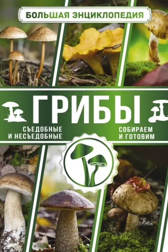 Обложка книги «Большая энциклопедия. Грибы. Съедобные и несъедобные. Собираем и готовим.»