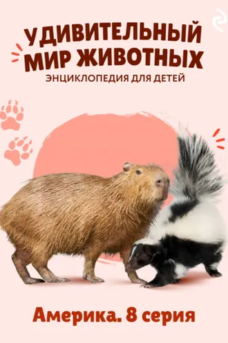Обложка книги «Удивительный мир животных. Америка. 8 серия»