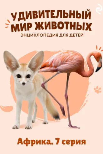 Обложка книги «Удивительный мир животных. Африка. 7 серия»