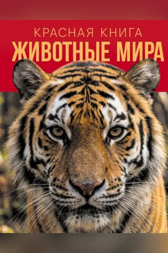 Обложка книги «Красная книга. Животные мира»