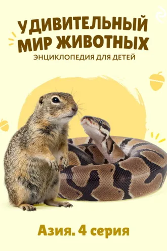 Обложка книги «Удивительный мир животных. Азия. 4 серия»